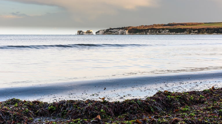 Middle beach, Studland Bay, Dorset